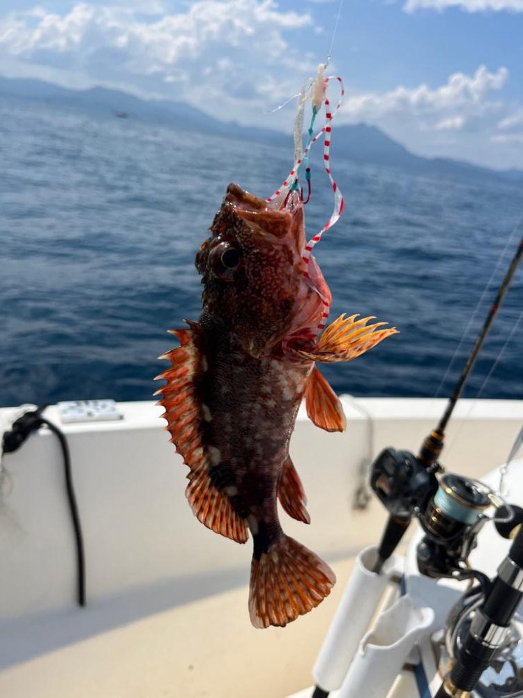 レンタルボートでタイラバ