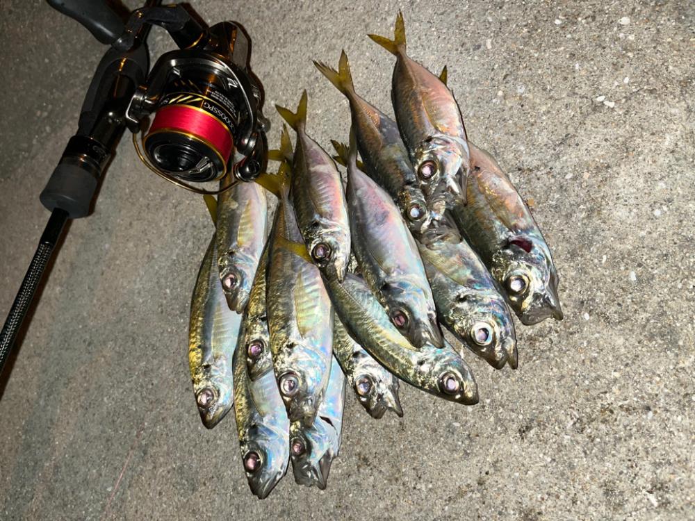 久々の釣り
