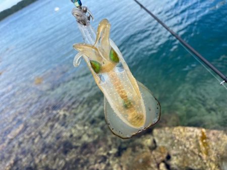 安定の激渋かと思ったら朝から連チャンモード