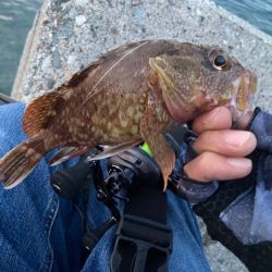 現地でラインを移植することにｗ