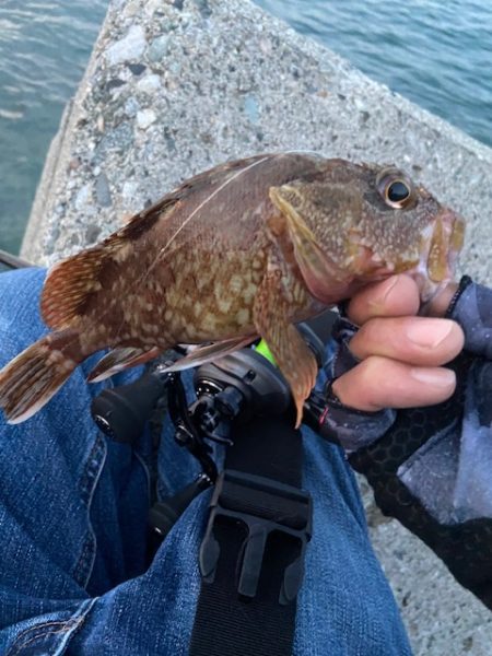 現地でラインを移植することにｗ