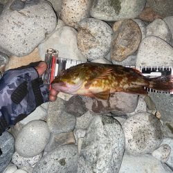 福井が調子悪いので富山へ。。。。