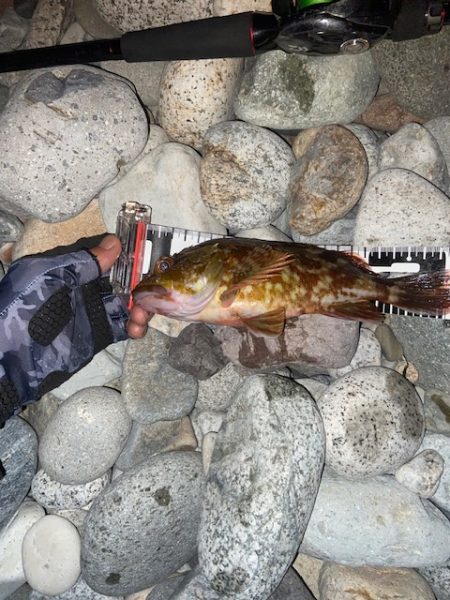 福井が調子悪いので富山へ。。。。