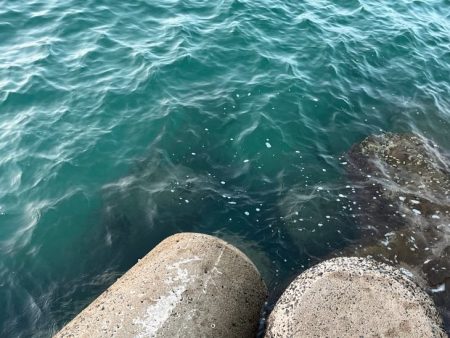 初めてのエリアでワクワク釣行だけど何処も厳しい!