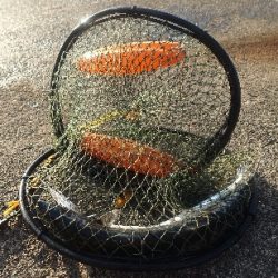 風と波と南の人