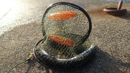 風と波と南の人