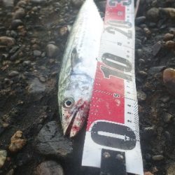 漁船が行き交う午後の大潮