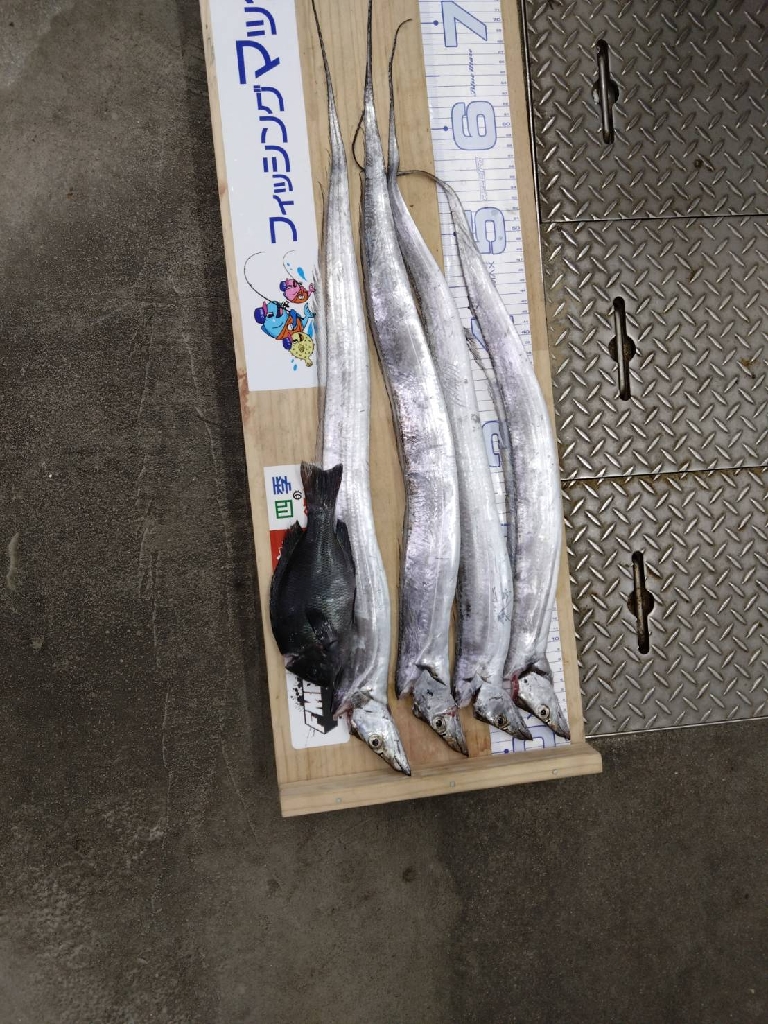 即興フカセでサンバソウ連発!