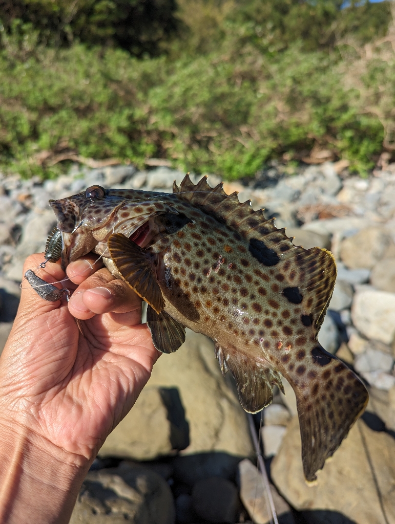 陸っぱり釣行記