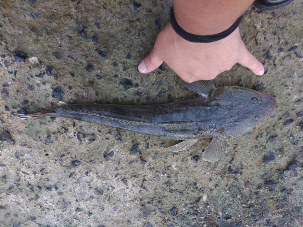 久しぶりの仕事前の朝練成功♪