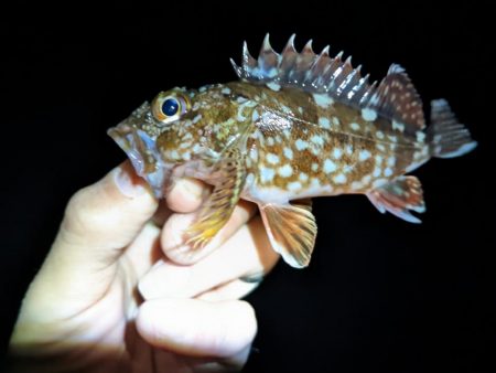 風が強い日はだめ