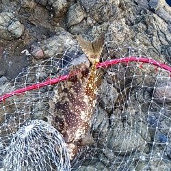 まだまだ夏を引きずってる感じ！