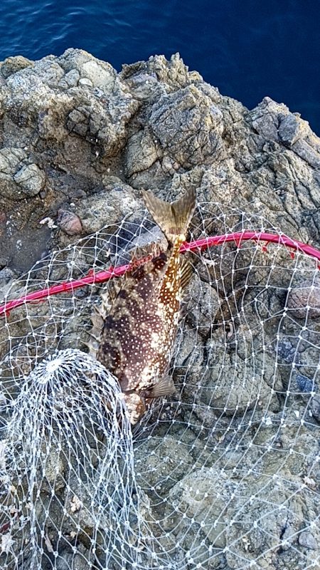 まだまだ夏を引きずってる感じ！