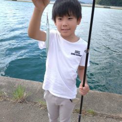 釣ってみたかったサヨリ