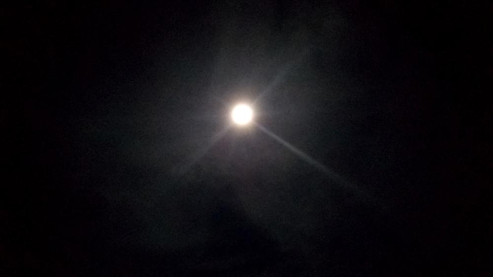 久しぶりのエギング