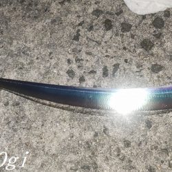 引き釣りでタチウオ2桁！