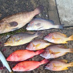 和歌山市江（吉丸渡船）で磯夜釣り