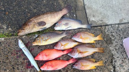 和歌山市江（吉丸渡船）で磯夜釣り