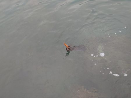 曇時々雷雨エギングIN対馬