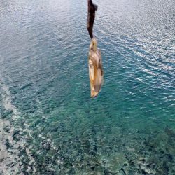 爆風エギングIN対馬