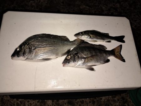 台風あとの濁りを攻める