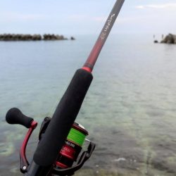 早朝短時間釣行