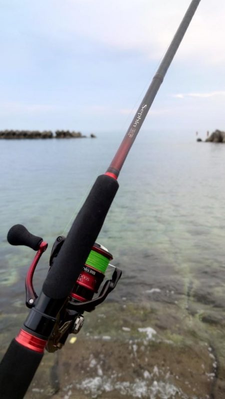 早朝短時間釣行