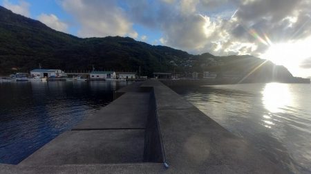 ちびっ子シマアジ