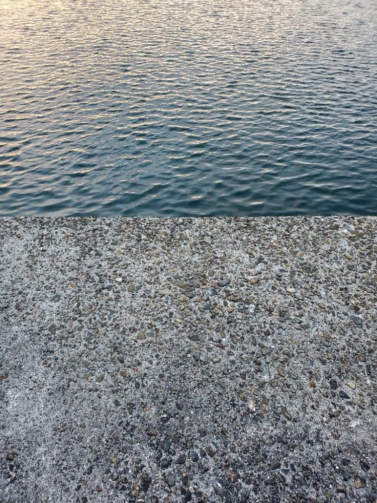 マリーナ付近で全力のタチウオ釣り