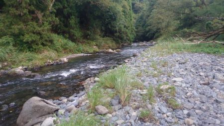 鮎ルアーでのおとり確保に大苦戦するも、友釣りで挽回 (石田川)