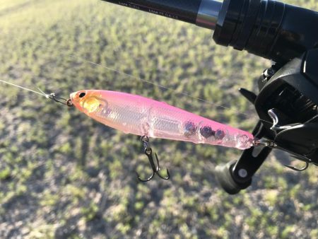 久々の年無しゲット