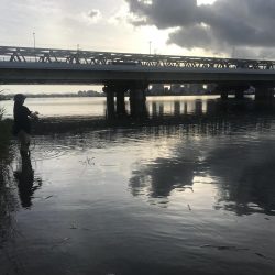 久々の淀川チニング