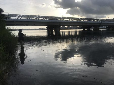 久々の淀川チニング