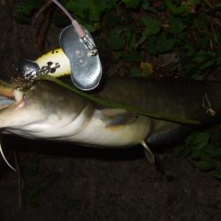 秋のハイシーズンまでもう少し