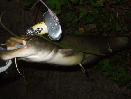 秋のハイシーズンまでもう少し