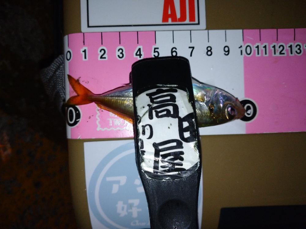 今夜はアジング修行