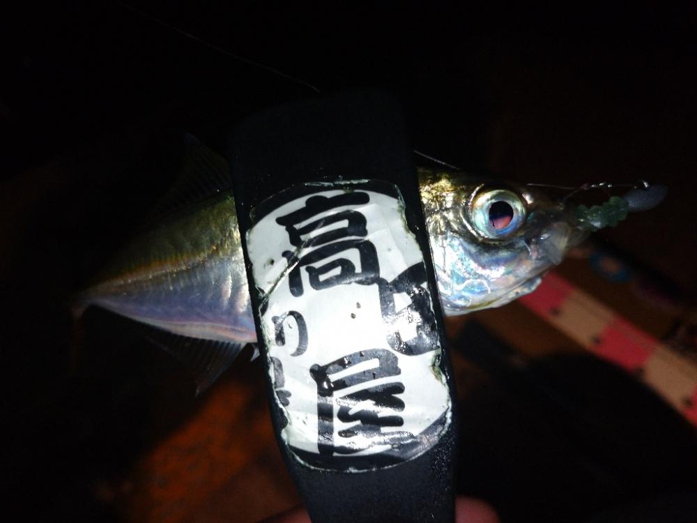 今夜もアジング修行