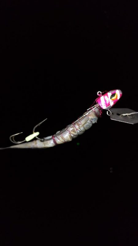 水軒夕マズメのタッチー