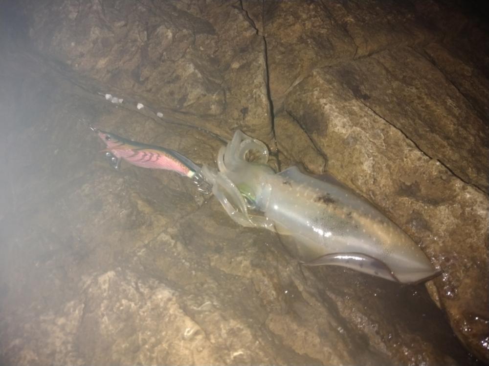 明るくなってからが本番