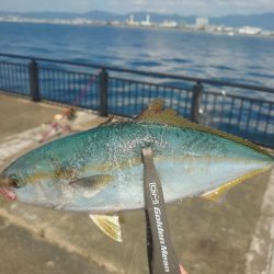 ジャンプする魚