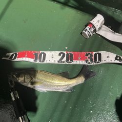 フリーリグ炸裂