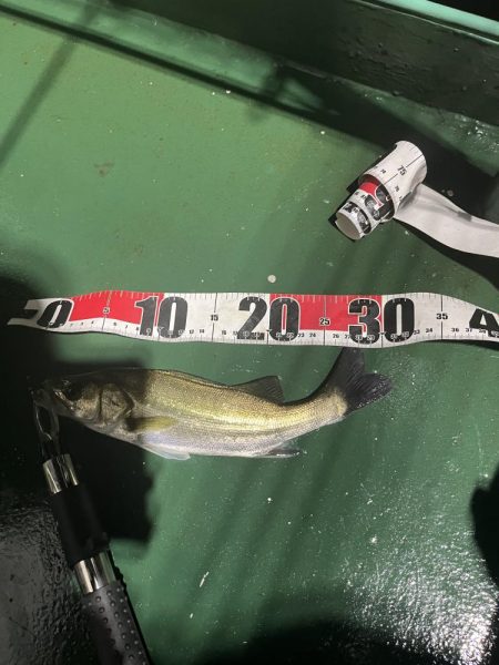 フリーリグ炸裂