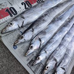 テンビンでタチウオ◎鴨下丸