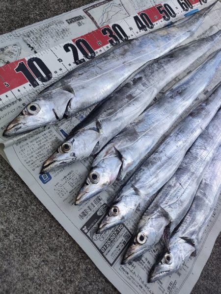 テンビンでタチウオ◎鴨下丸