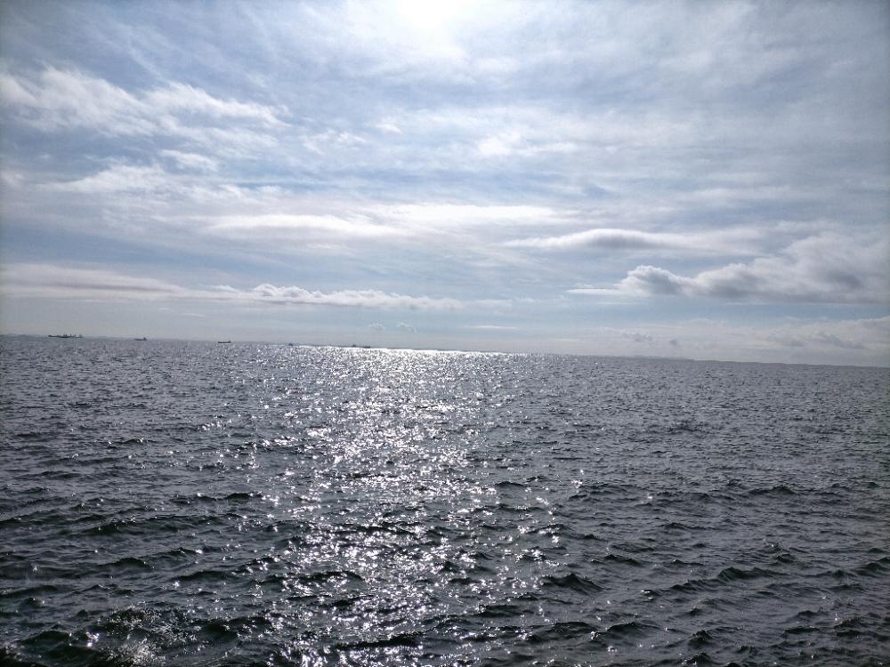 久々のでかいシーバス