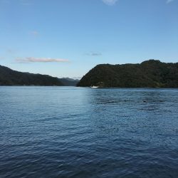 ビッグサイズ、、