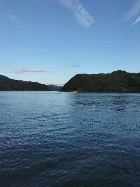 ビッグサイズ、、