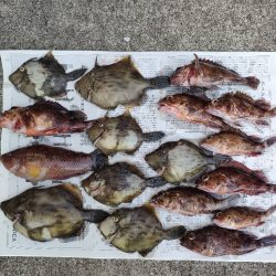 カワハギ釣り。えさ政から