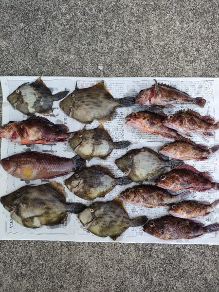 カワハギ釣り。えさ政から