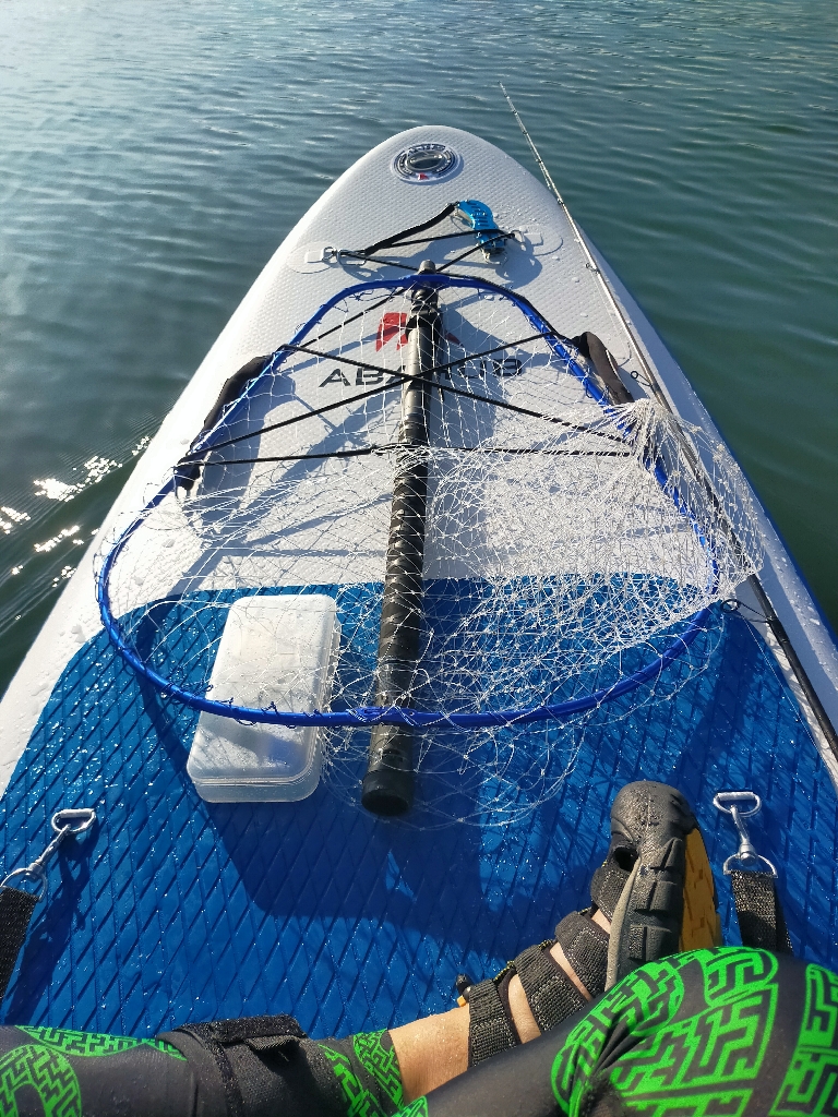 SUPフィッシング